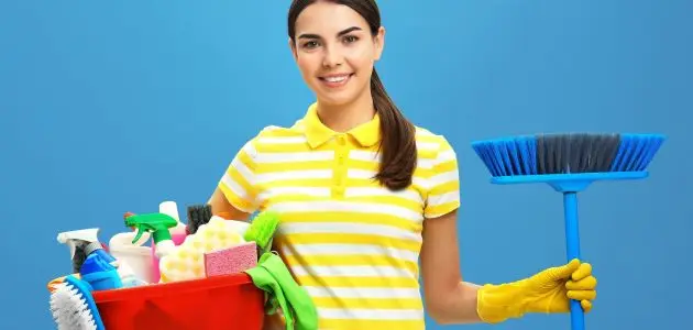 نظافة الشركات